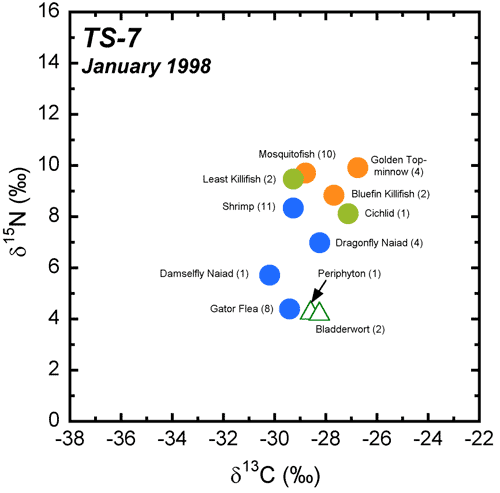 TS-7 January 98