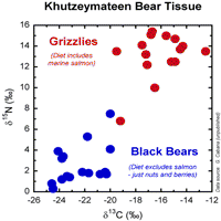 Khutzeymateen bear tissue chart