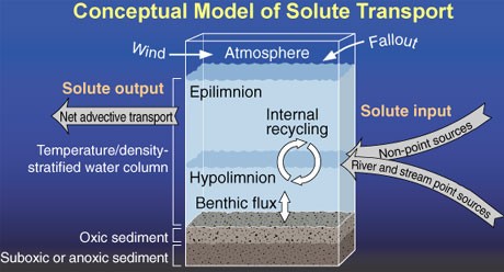 Conceptual Model of Solute Transport