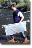 Dan collects aquatic insects in Montana