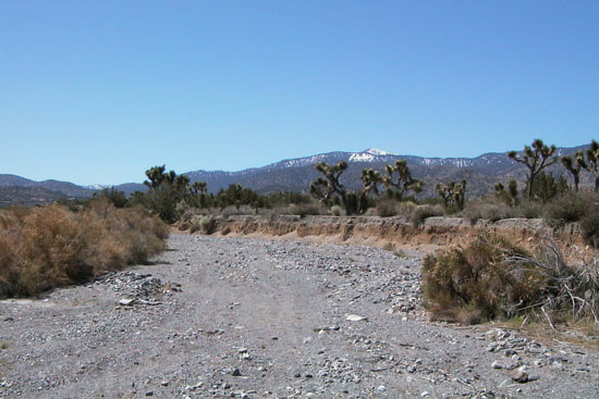 Mojave site photo