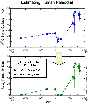 Estimating human paleodiet