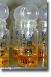 Clam samples are extracted with acid. The extract is then analized by ICP.