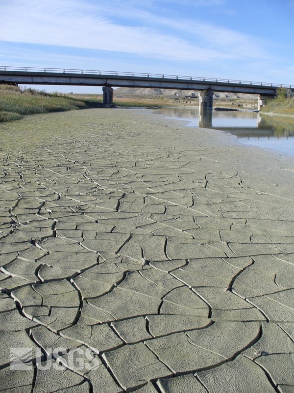 Drought Scene